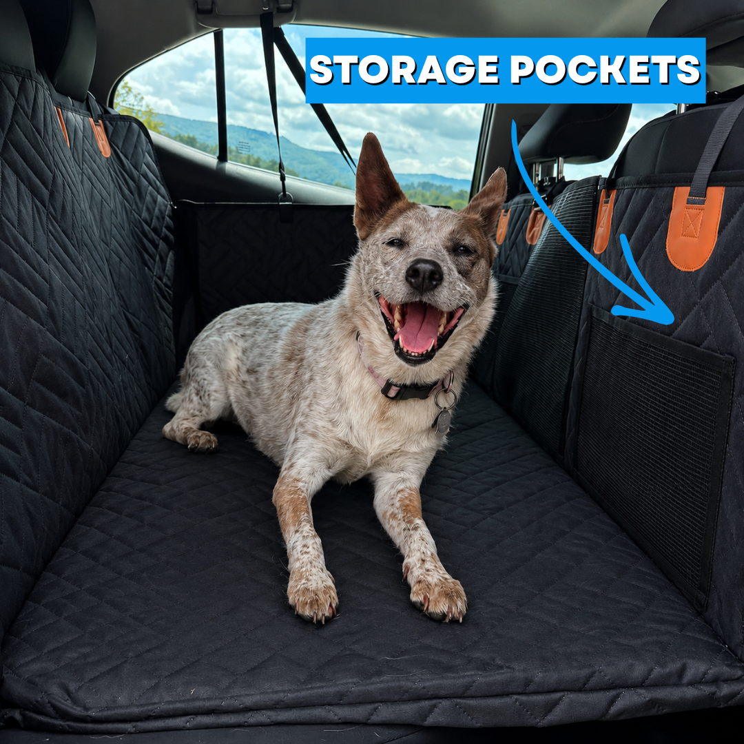 PawRider - Hard Base Dog Seat Cover
